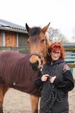 Gezocht: voor lieve merrie, bijna 18 jaar pensionstal, Dieren en Toebehoren, Stalling, 1 paard of pony