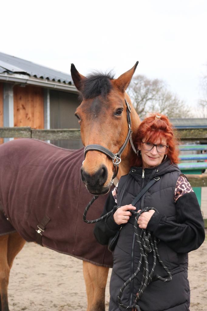 Gezocht: voor lieve merrie, bijna 18 jaar pensionstal, Dieren en Toebehoren, Stalling en Weidegang, Stalling, 1 paard of pony