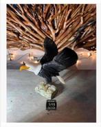 5 x edelsteen zeearend Onyx Jade Jaspis voet, pr.p.stuk, Ophalen of Verzenden