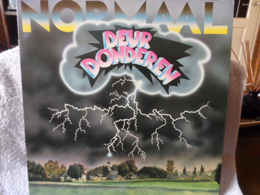 LP Normaal, Ophalen of Verzenden, Gebruikt, 12 inch