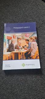 Pedagogisch werk 2 – Angerenstein studieboek MBO, Boeken, Schoolboeken, Gelezen, Overige vakken, Ophalen of Verzenden, Angerenstein