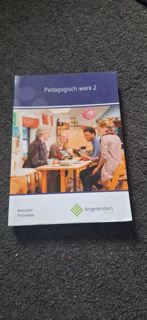 Pedagogisch werk 2 – Angerenstein studieboek MBO, Boeken, Schoolboeken, Gelezen, Overige vakken, Overige niveaus, Ophalen of Verzenden
