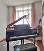 Uniek: prachtige W.Hoffman Vleugel 1ste eigenaar, Ophalen of Verzenden, Zo goed als nieuw, Zwart, Vleugel