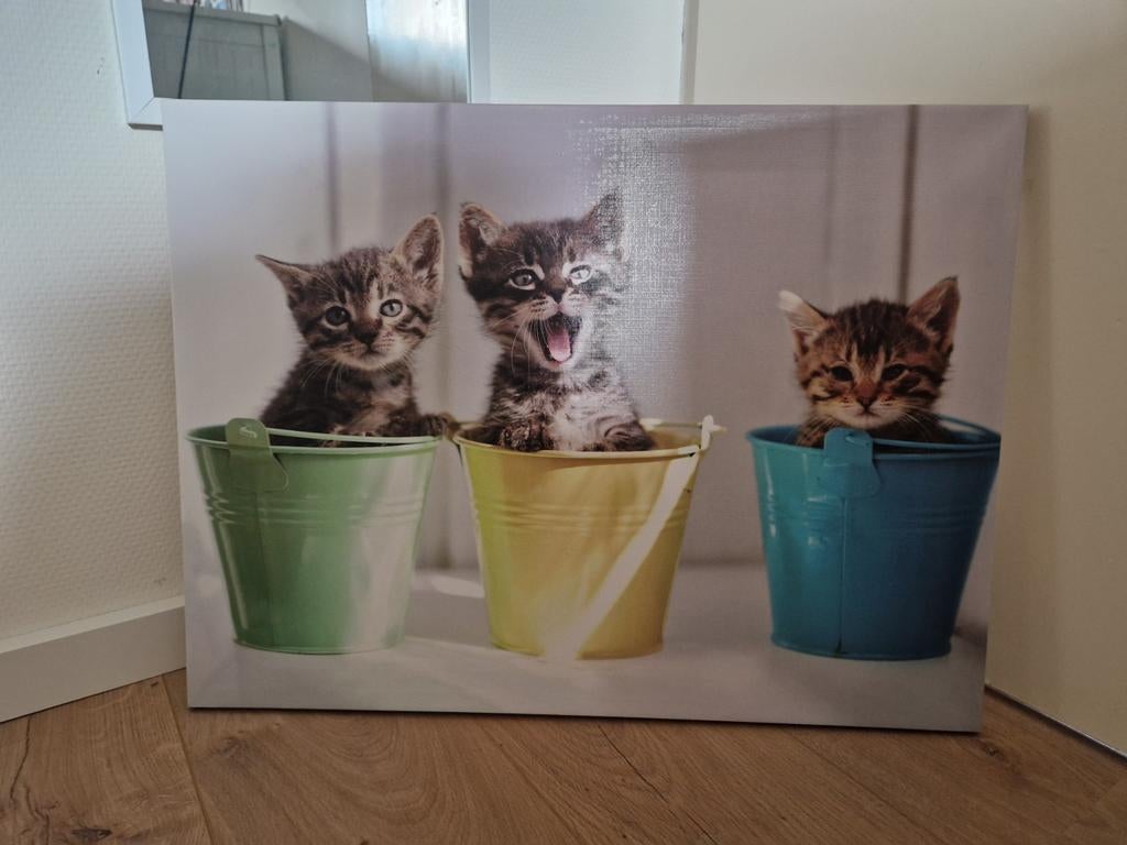 Twee prachtige schilderijen (set), Ophalen of Verzenden, Zo goed als nieuw