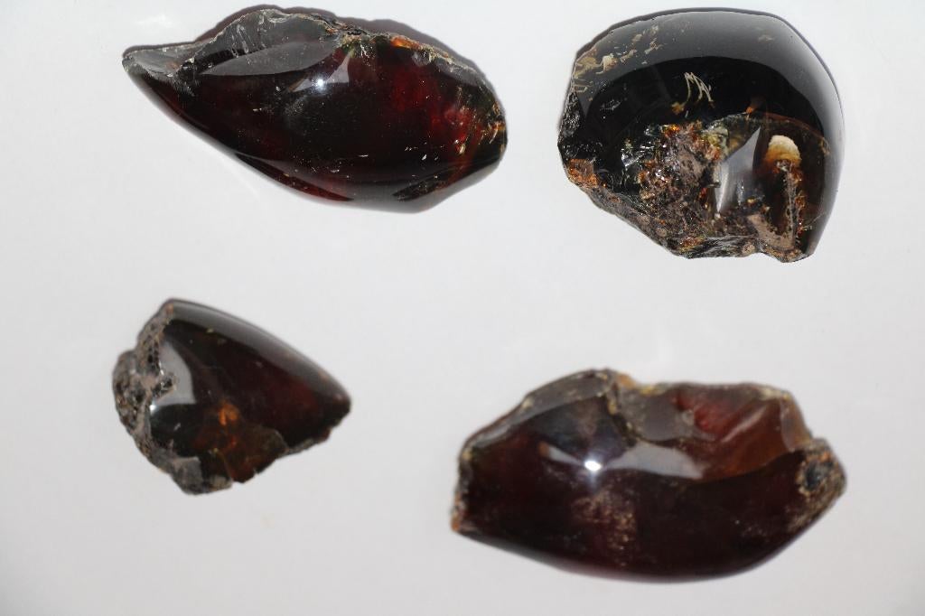 Amber (4 pcs), Ophalen of Verzenden, Fossiel