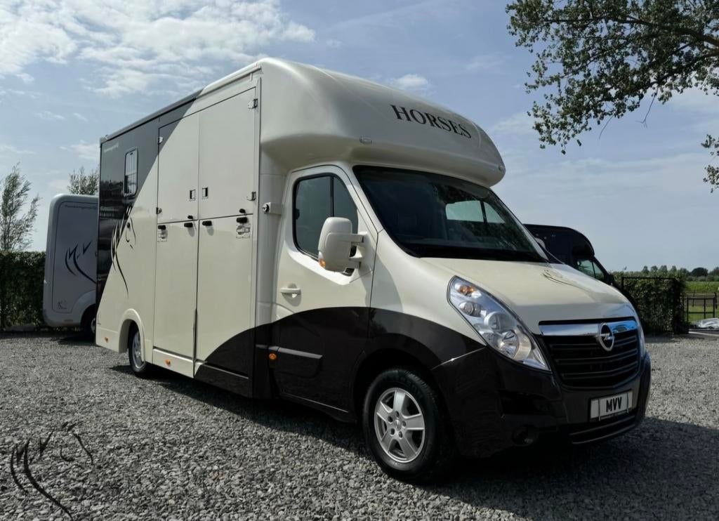 Paardentaxi Noord brabant, Diensten en Vakmensen, Dieren | Paarden | Verzorging, Oppas en Les