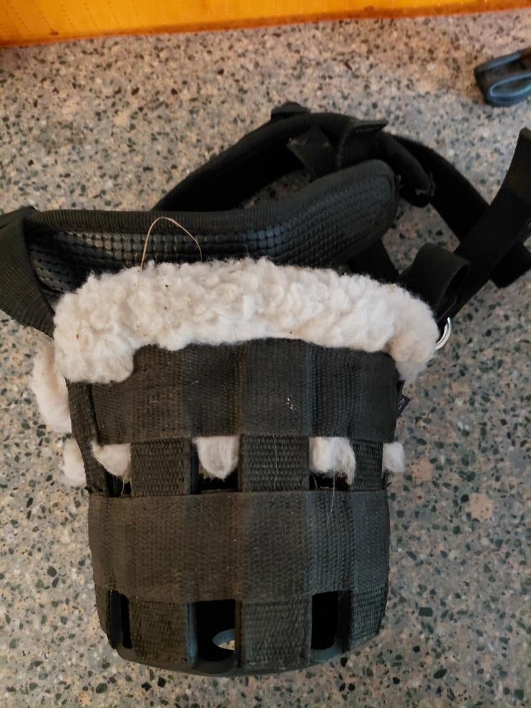 Grasmasker shetlander, Dieren en Toebehoren, Ophalen of Verzenden, Zo goed als nieuw