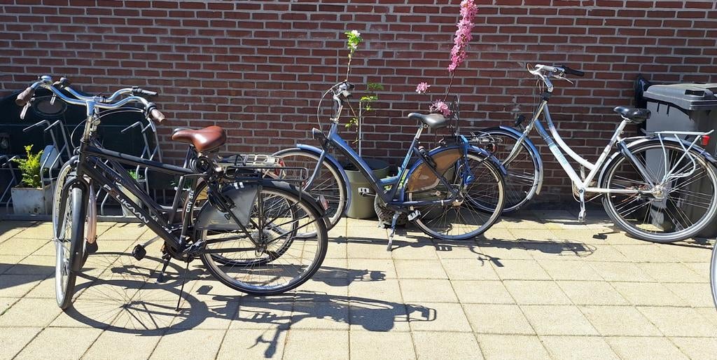 Opknappers fietsen Sparta Union Cortina Pelikaan, Fietsen en Brommers, Fietsen | Dames | Damesfietsen, Ophalen, Gebruikt, Sparta