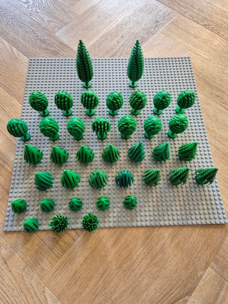 Diverse bomen en struiken fruitbomen loofbomen cipress, Ophalen of Verzenden