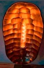 2 lampen nieuw 55 cm hoog schildpad lamp bronskleurig
2stuks, Huis en Inrichting, Lampen | Tafellampen, Nieuw, Ophalen of Verzenden