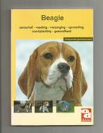 Beagle, Ophalen of Verzenden, Zo goed als nieuw, Honden