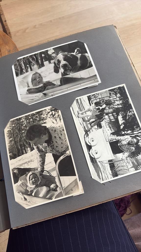 Koningshuis 1939 beatrix sneeuw juliana kinderwagen, Verzamelen, Koninklijk Huis en Royalty, Ophalen of Verzenden, Zo goed als nieuw