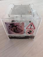 Pterinochilus Murinus 0.1, Spin of Schorpioen