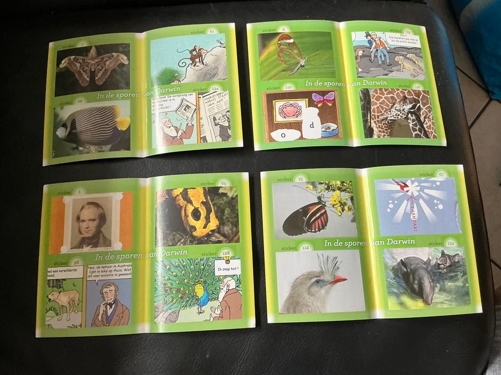 Stickers artis uitgegevendoor de dekamarkt, Ophalen of Verzenden, Zo goed als nieuw