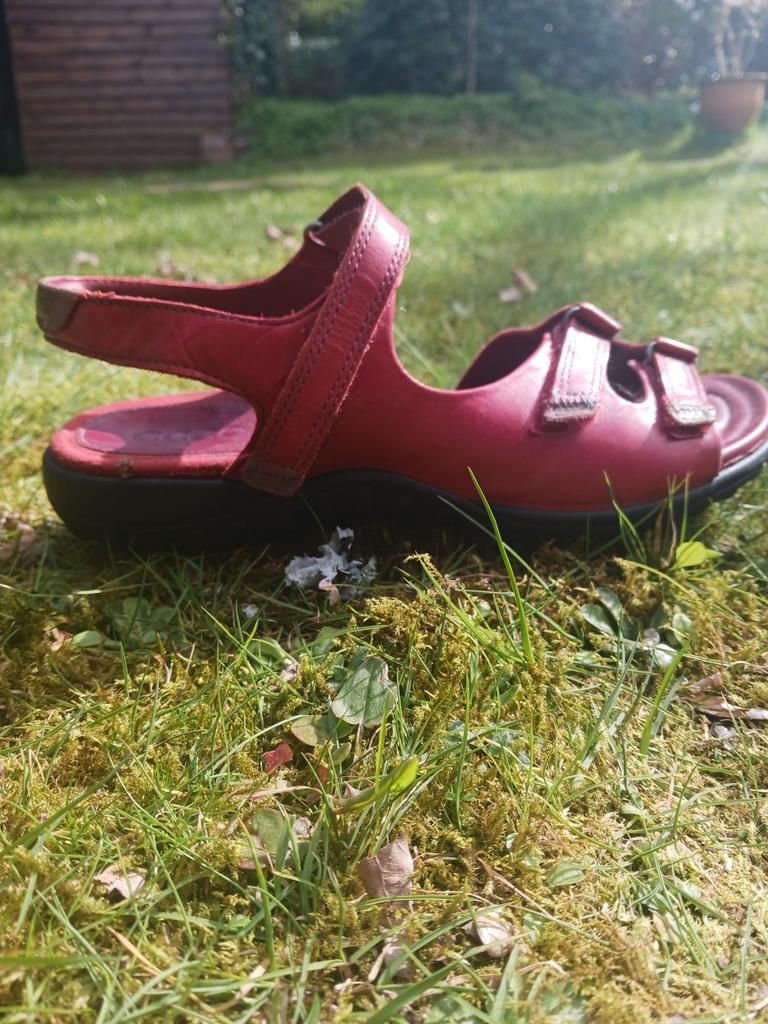 Ecco sandalen rood, Kleding | Dames, Schoenen, Ophalen of Verzenden, Zo goed als nieuw, Rood, Sandalen of Muiltjes