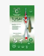 KiGen koivoer tosai, Karper of Koi