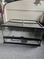 Terrarium 60x45x30 (Exo Terra), Dieren en Toebehoren, Reptielen en Amfibieën | Toebehoren, Ophalen, Zo goed als nieuw, Terrarium of Paludarium
