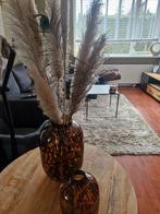 Super mooie vazen inclusief veren., Huis en Inrichting, Woonaccessoires | Droogbloemen, Ophalen, Zo goed als nieuw