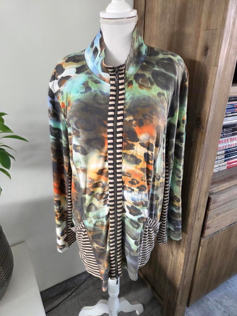 Frank Walder vest met rits, maat 46, Overige kleuren, Maat 46/48 (XL) of groter, Ophalen of Verzenden, Gedragen