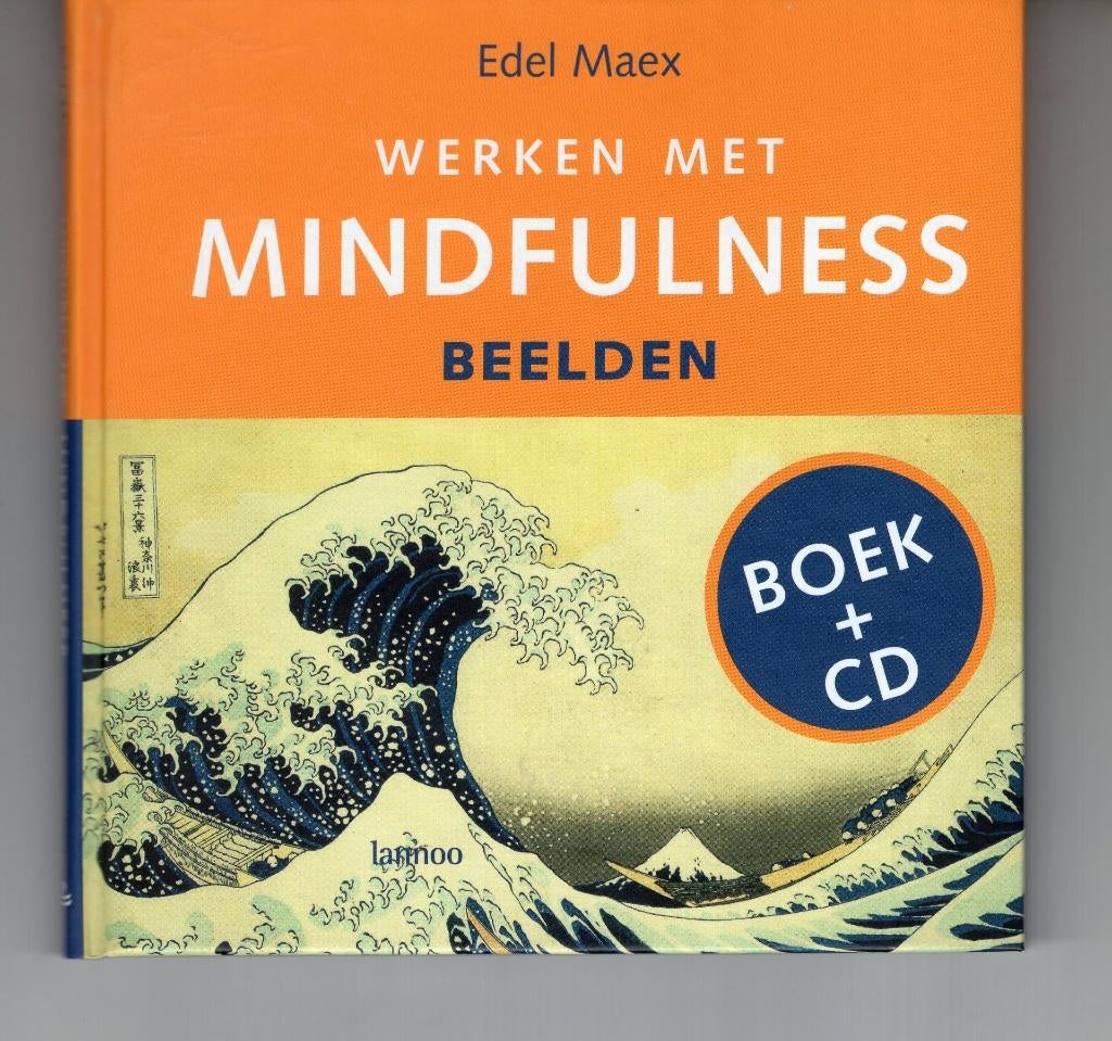 Werken met mindfulness Edel Maex 3 boeken & cd, Boeken, Ophalen of Verzenden, Zo goed als nieuw, Spiritualiteit algemeen, Overige typen