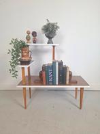 Vintage plantentafel jaren 60, Antiek en Kunst, Ophalen of Verzenden