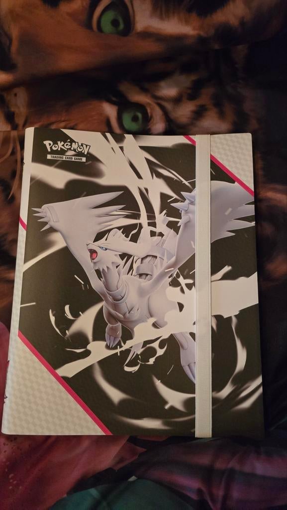 Pokémon, Boeken, Strips | Comics, Eén comic, Ophalen, Zo goed als nieuw, Japan (Manga)