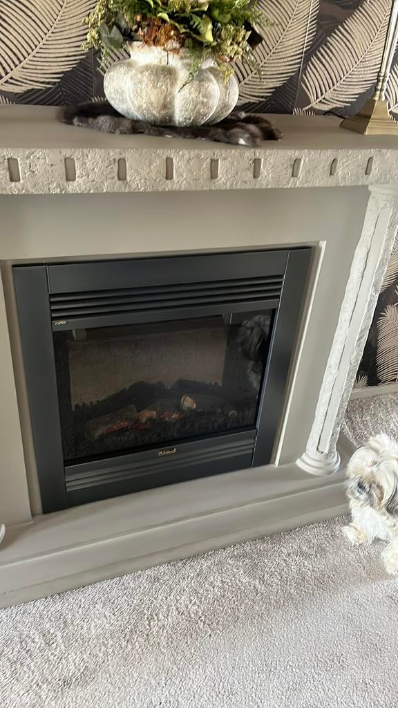 Openhaard met faber kachel, Huis en Inrichting, Haarden, Ophalen of Verzenden, Zo goed als nieuw, Vrijstaande haard, Elektrische haard