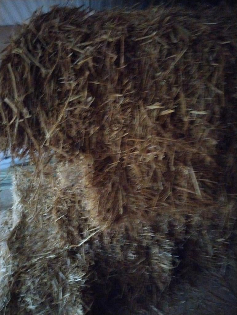 Stro, Dieren en Toebehoren, Ophalen, Vee