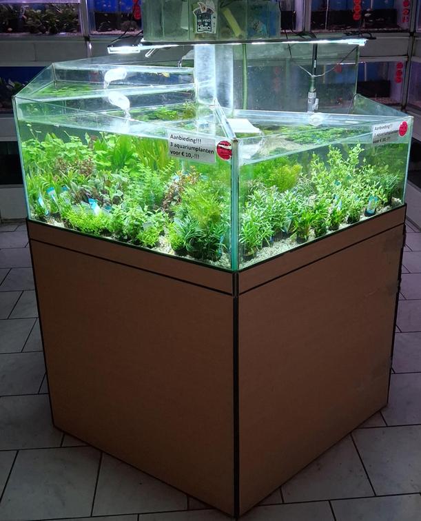 Binnenkort in de verkoop!!! plantenstelling!!!, Ophalen, Gebruikt, Leeg aquarium, Overige merken