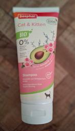 Beaphar katten & kitten shampoo, Dieren en Toebehoren, Ophalen, Nieuw
