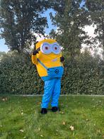 Te Huur: Minion-Kostuum, Verjaardag, Carnaval, Minions, Ophalen of Verzenden, Zo goed als nieuw, Verjaardag