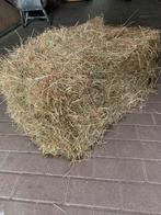 Hooi balen, Ophalen, Vee