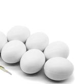 Gevraagd bevruchte kakariki eieren.  Voor broedende kakariki, Dieren en Toebehoren, Vogels | Parkieten en Papegaaien, Meerdere dieren