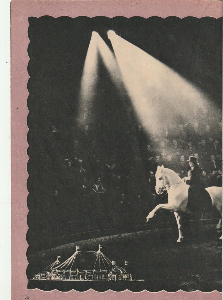 Vintage knipsel 1951 Circus Strassburger paardendressuur, Verzamelen, Verzenden, 1940 tot 1960, Nederland, Knipsel(s)