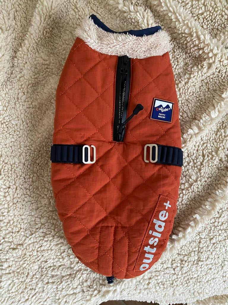 Korean Brand Puppygallery Dog Jacket and Hat Orange-Red, Dieren en Toebehoren, Hondenkleding, Ophalen of Verzenden, Zo goed als nieuw