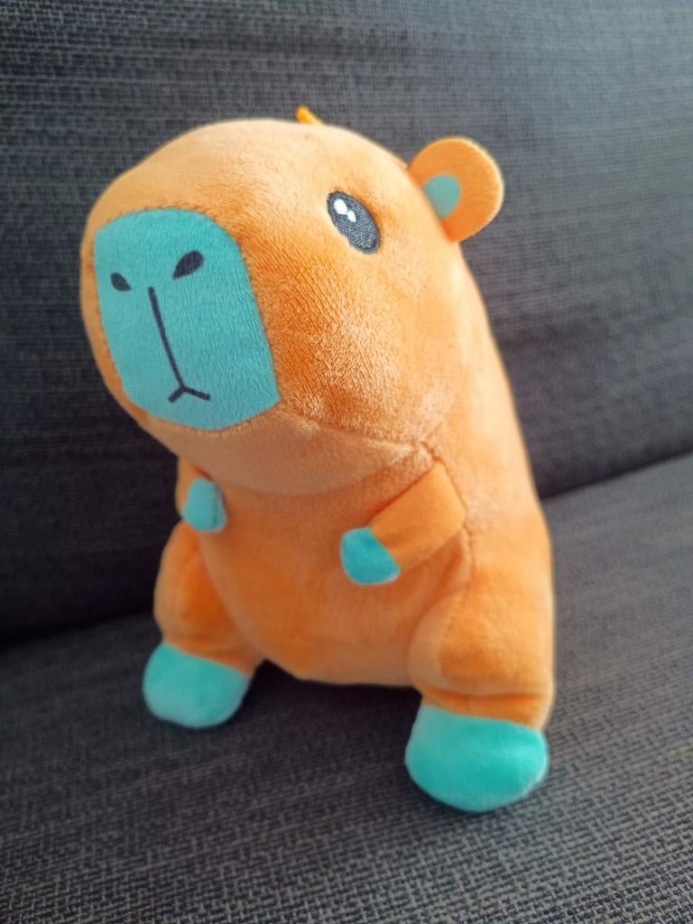 Kawaii knuffel capibara ong 25 cm groot, Ophalen of Verzenden, Zo goed als nieuw, Overige typen