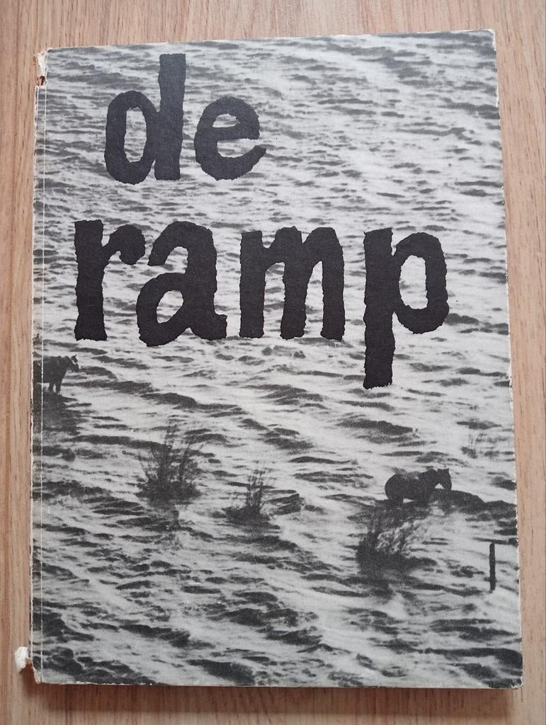De ramp - de stormvloed, Boeken, Ophalen of Verzenden, 20e eeuw of later, Gelezen
