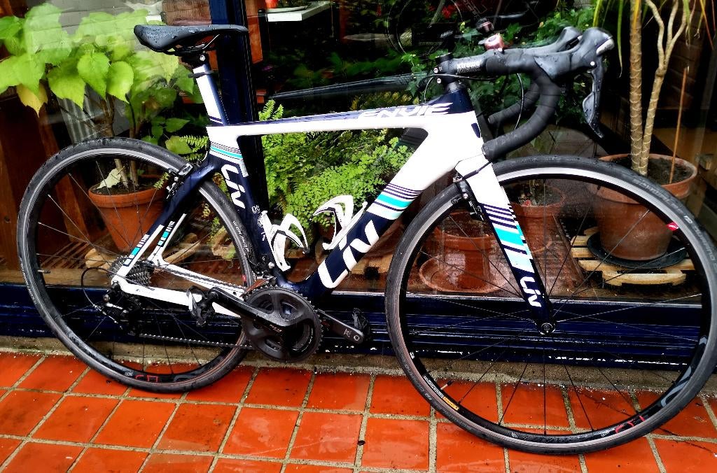 prof racefiets LIV:  IN PRIJS VERLAAGD, Fietsen en Brommers, Fietsen | Racefietsen, 28 inch, Gebruikt, Carbon, 49 tot 53 cm