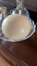 Struisvogel ei, Ophalen of Verzenden, Zo goed als nieuw