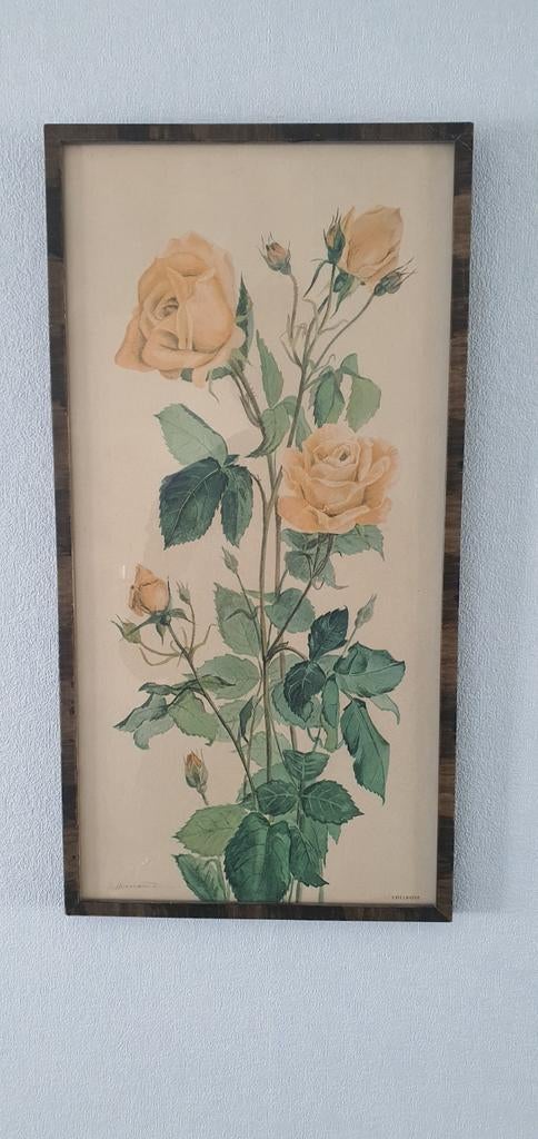 Vintage jaren '60 schilderij met edelrozen in lijst met glas, Ophalen
