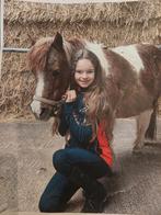 Verzorgpony gezocht omgeving Helvoirt, Dieren en Toebehoren, Ophalen, Nieuw