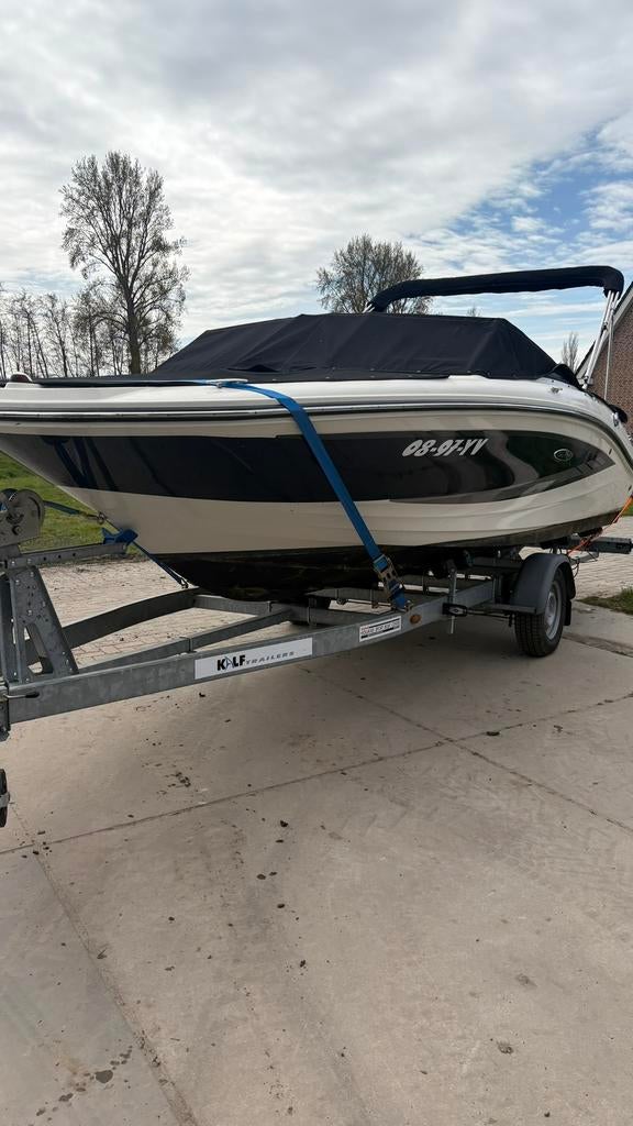 Sea Ray 19 SPX - VOLLEDIG NIEUWE MOTOR - Vaarklaar, Watersport en Boten, Speedboten, Ophalen, Gebruikt, Binnenboordmotor, 120 tot 200 pk