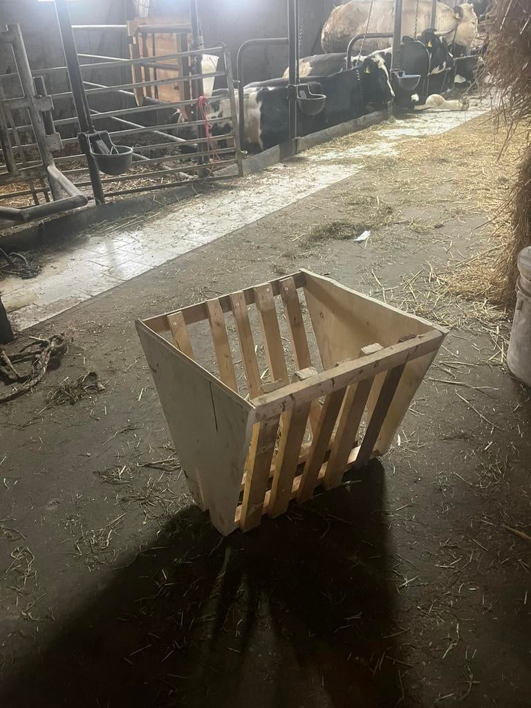 Schapen hooiruif, Dieren en Toebehoren, Stalling