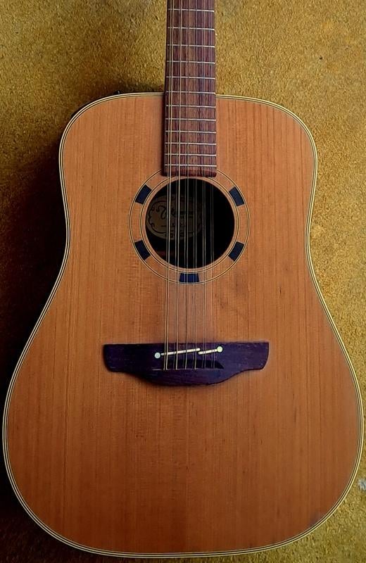 Takamine EN10-12 (Japan) 12-snarige akoestisch gitaar, Ophalen, Zo goed als nieuw, Western- of Steelstringgitaar, Met koffer