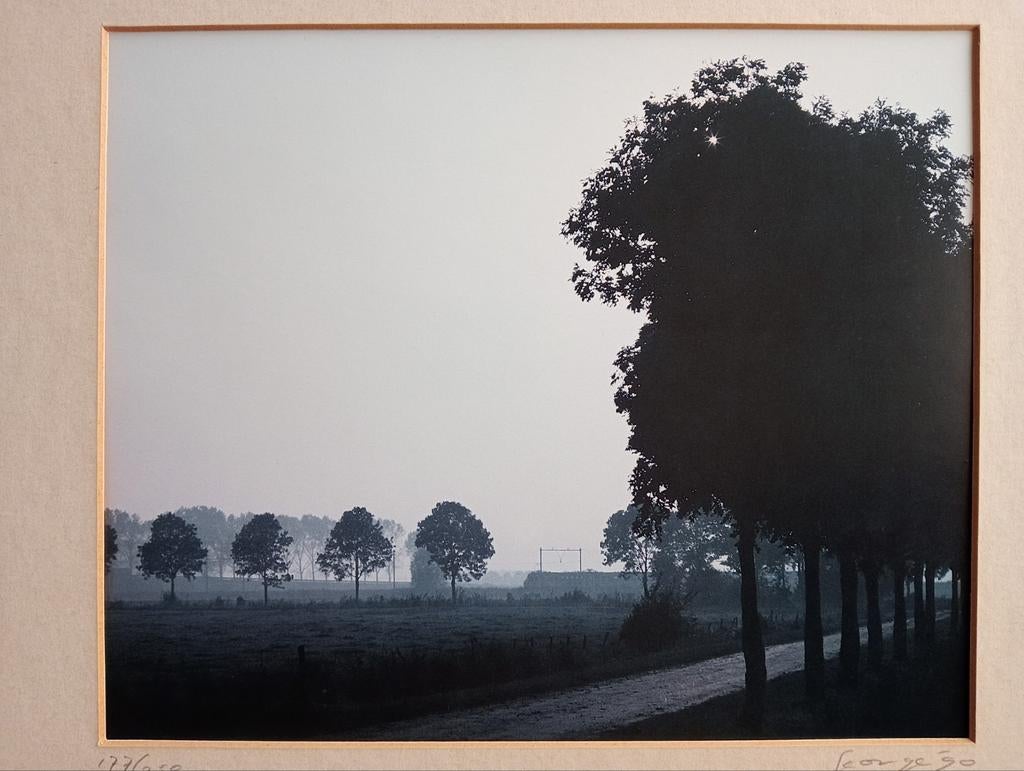 Foto George'90 weg met bomen, Antiek en Kunst, Kunst | Litho's en Zeefdrukken, Ophalen of Verzenden