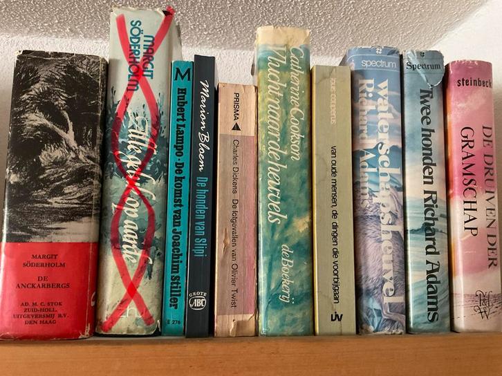 Enkele boekenplanken met ROMANS, Boeken, Romans, Zo goed als nieuw, Ophalen of Verzenden