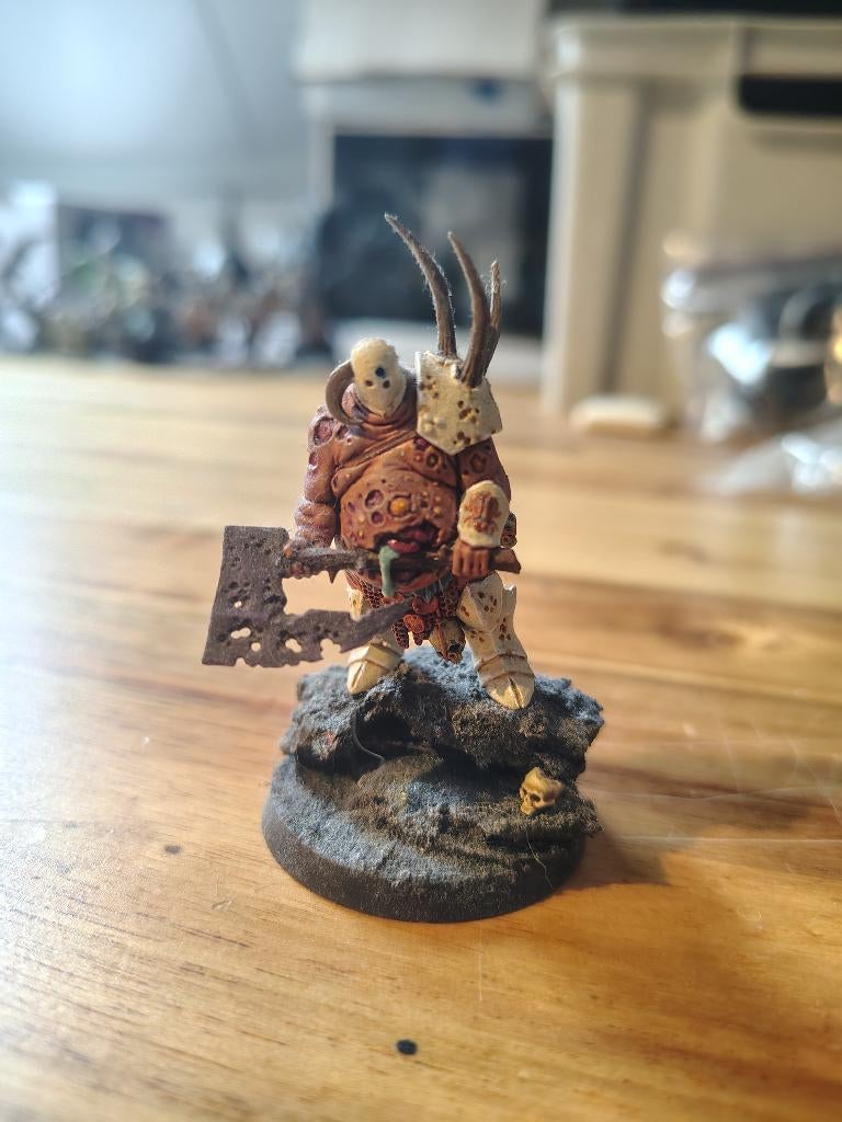 warhammer aos lord of plagues, Hobby en Vrije tijd, Wargaming, Ophalen of Verzenden, Zo goed als nieuw, Warhammer