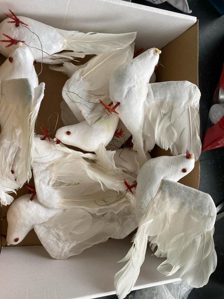 Doos met duifjes - Decoratie voor bruiloft of feest, Hobby en Vrije tijd, Overige Hobby en Vrije tijd, Gebruikt, Ophalen of Verzenden