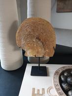Dienblad decoratie schelpje op voet sculptuur, Ophalen of Verzenden, Nieuw, Overige vormen, Overige materialen