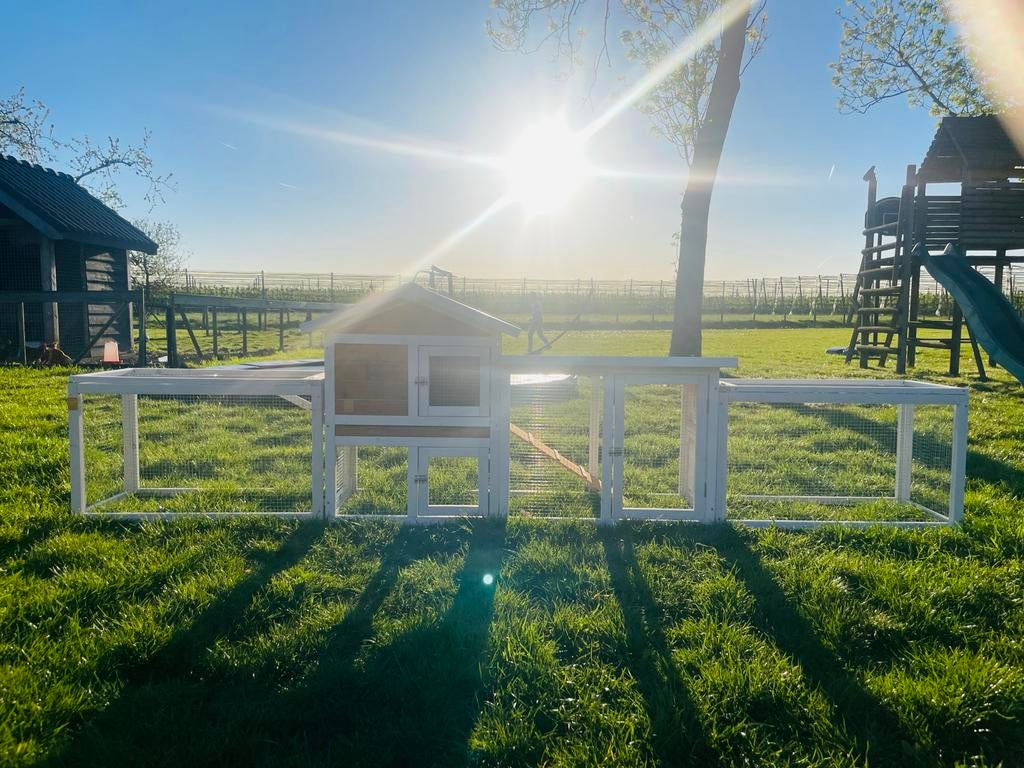 Nieuw konijnenhok met grote rennen, Ophalen, 110 cm of meer, 60 tot 90 cm, Nieuw